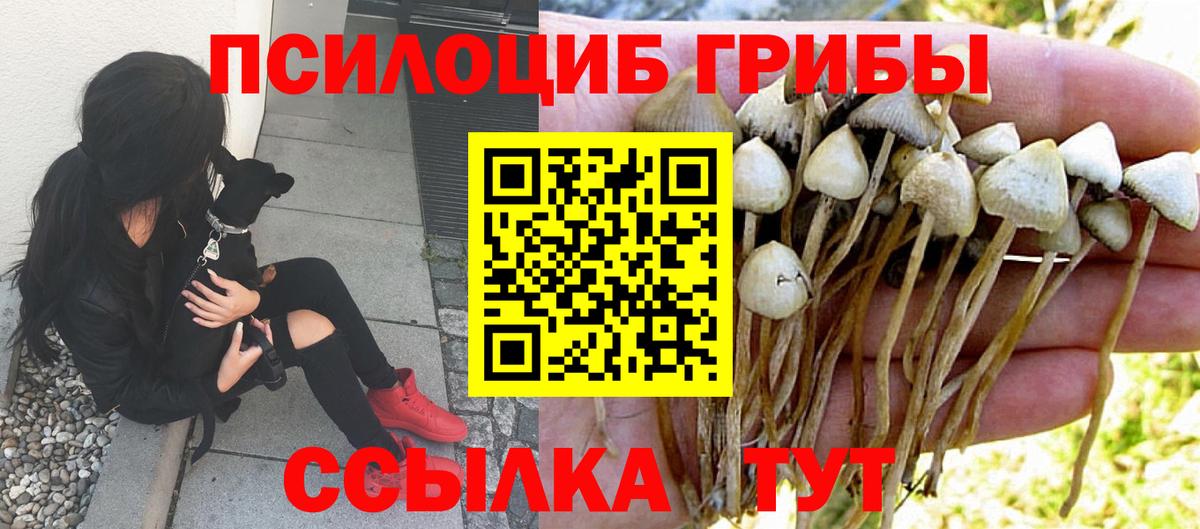Псилоцибиновые грибы ЛСД Благодарный